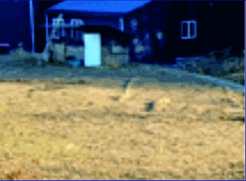 물건 사진 22