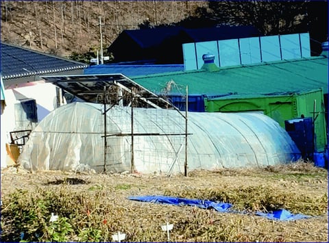 물건 사진 31