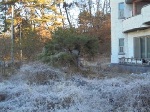 물건 사진 13