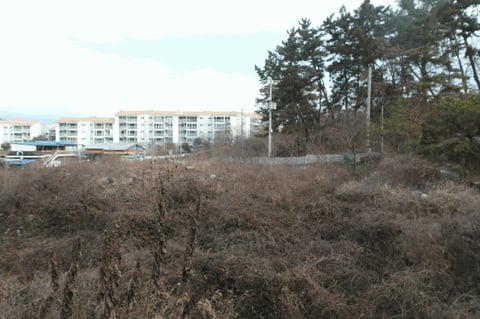물건 사진 21