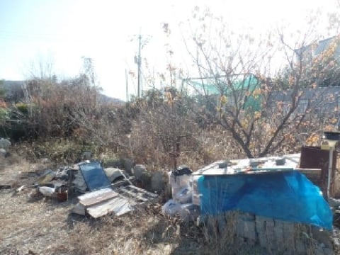 물건 사진 5