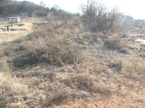 물건 사진 14
