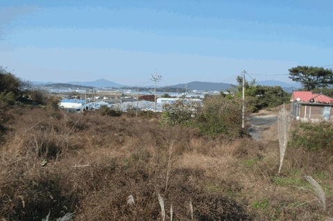 물건 사진 28