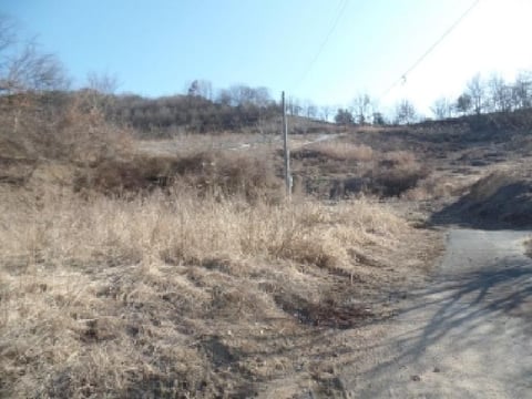 물건 사진 9