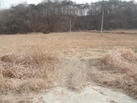 물건 사진 3