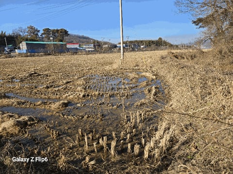 물건 사진 23