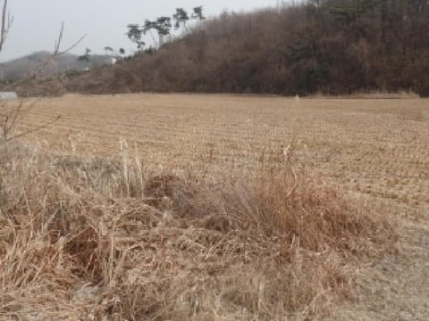 물건 사진 7