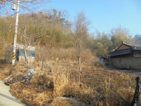 물건 사진 1