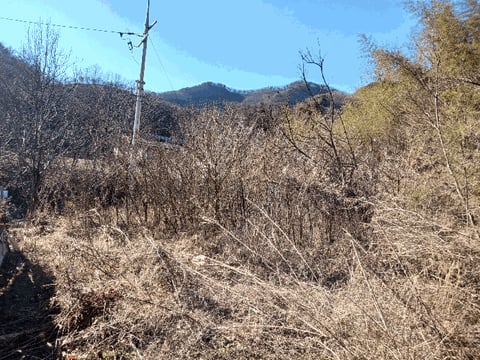 물건 사진 13