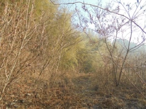 물건 사진 5