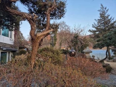 물건 사진 19