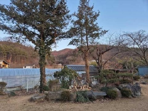 물건 사진 22