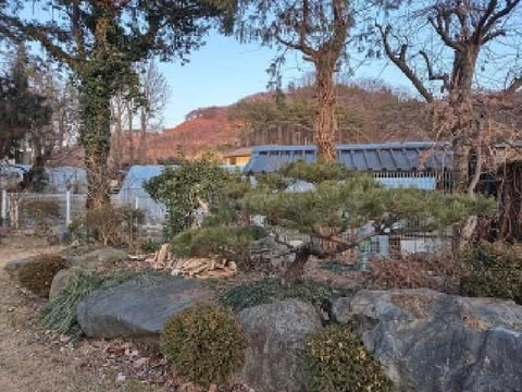 물건 사진 25