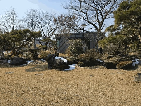 물건 사진 42