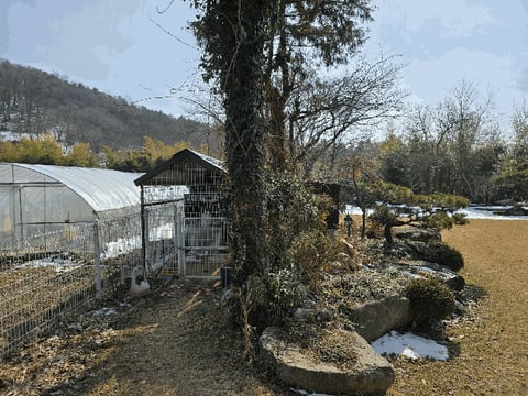 물건 사진 53