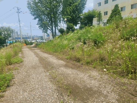 물건 사진 60
