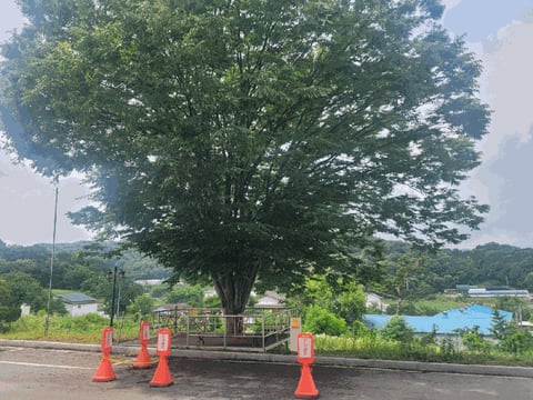 물건 사진 83