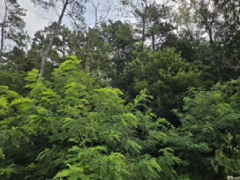 물건 사진 27