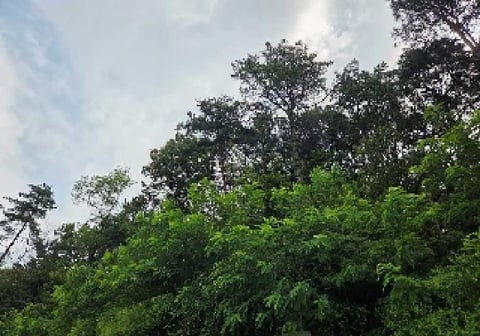 물건 사진 5