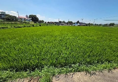 물건 사진 25