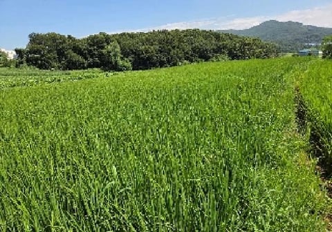물건 사진 26