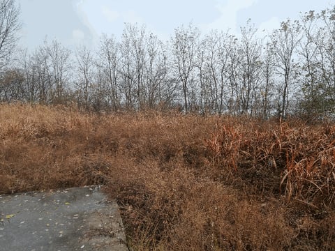 물건 사진 37