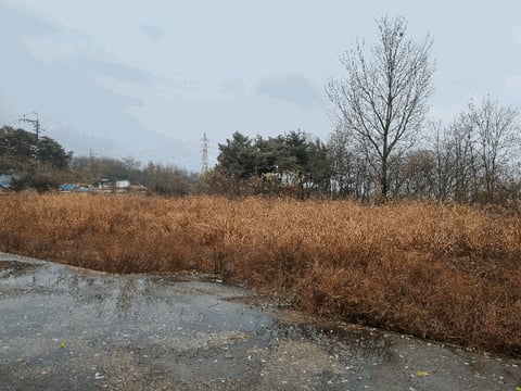 물건 사진 39