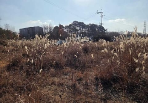 물건 사진 7
