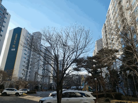 물건 사진 7