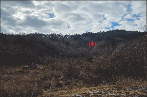 물건 사진 29