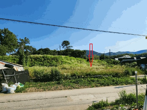 물건 사진 13