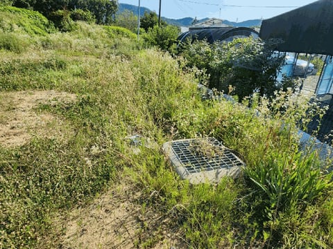 물건 사진 14