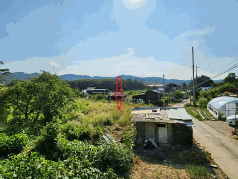 물건 사진 10