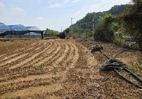 물건 사진 13