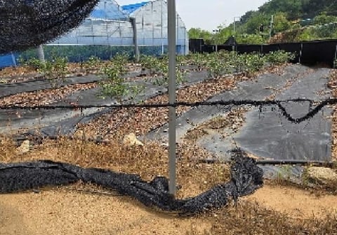 물건 사진 16