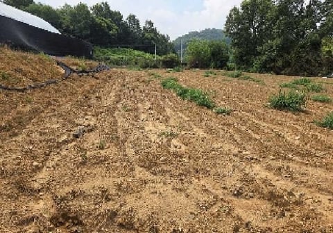 물건 사진 19