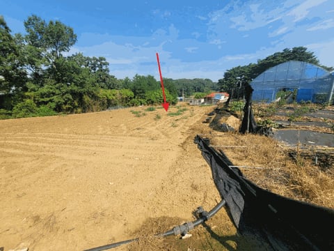 물건 사진 43