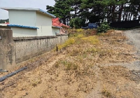 물건 사진 6