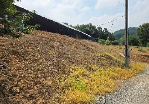 물건 사진 9