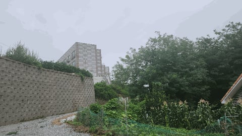 물건 사진 11