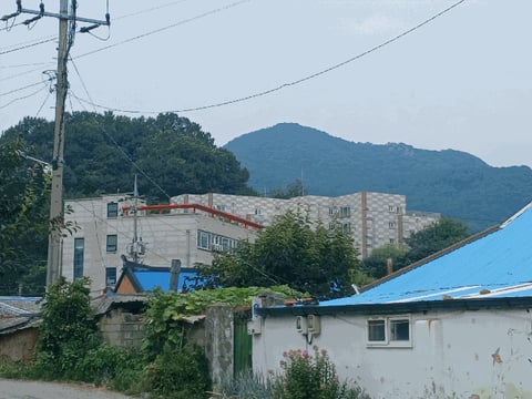 물건 사진 7