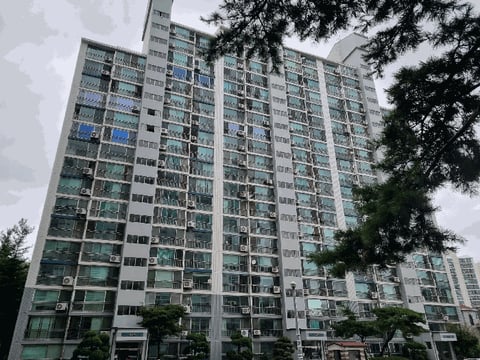 물건 사진 21