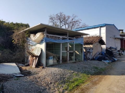 물건 사진 1