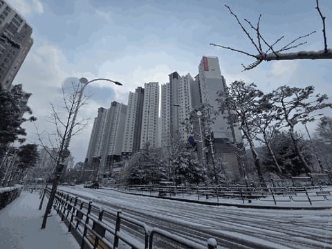 물건 사진 10