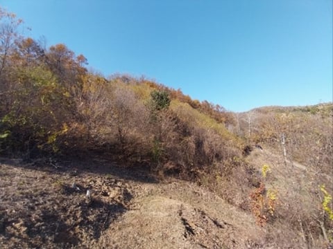 물건 사진 2