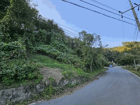 물건 사진 21