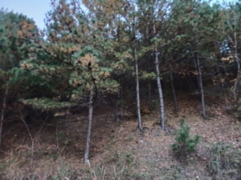 물건 사진 14