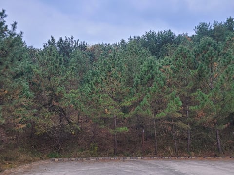 물건 사진 53