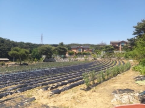 물건 사진 1