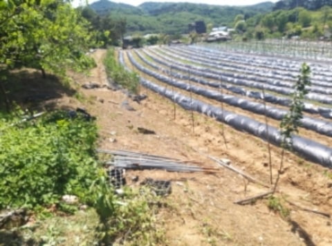 물건 사진 12